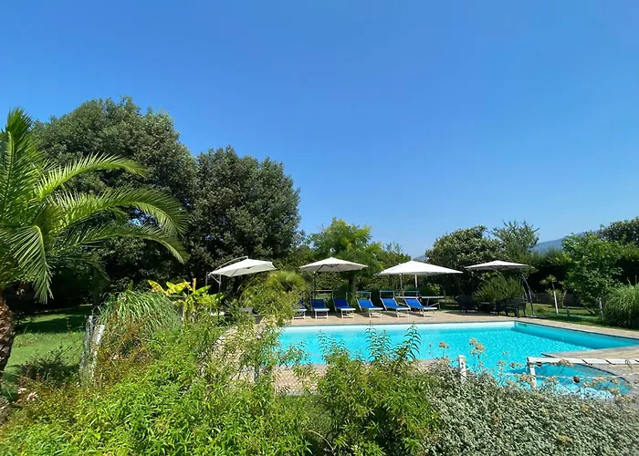 Oasis * Forte dei Marmi